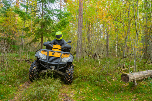 person riding an ATV in the woods